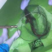 ヒメ日記 2026/03/16 15:40 投稿 るか 東京人妻セレブリティ（ユメオト）