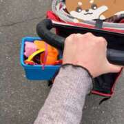 ヒメ日記 2026/03/23 10:30 投稿 るか 東京人妻セレブリティ（ユメオト）