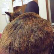 ヒメ日記 2026/04/08 15:17 投稿 るか 東京人妻セレブリティ（ユメオト）