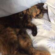 ヒメ日記 2026/04/10 14:04 投稿 るか 東京人妻セレブリティ（ユメオト）