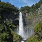 ヒメ日記 2026/04/12 17:43 投稿 るか 東京人妻セレブリティ（ユメオト）