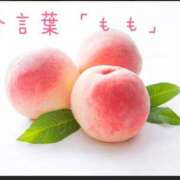 ヒメ日記 2026/06/30 17:04 投稿 源ゆりこ 禁断のメンズエステR-18堺・南大阪店