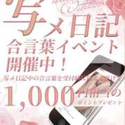 ヒメ日記 2026/08/01 16:34 投稿 源ゆりこ 禁断のメンズエステR-18堺・南大阪店
