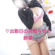 ヒメ日記 2026/02/17 18:13 投稿 紗菜【さな】 丸妻 西船橋店