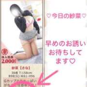 ヒメ日記 2026/02/26 08:18 投稿 紗菜【さな】 丸妻 西船橋店