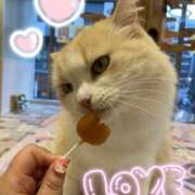 ヒメ日記 2026/02/28 18:33 投稿 紗菜【さな】 丸妻 西船橋店