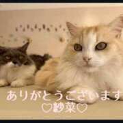 ヒメ日記 2026/03/01 09:27 投稿 紗菜【さな】 丸妻 西船橋店