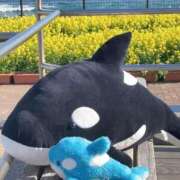 ヒメ日記 2026/03/05 21:58 投稿 紗菜【さな】 丸妻 西船橋店