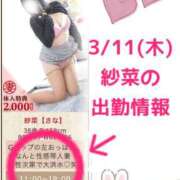 ヒメ日記 2026/03/09 07:11 投稿 紗菜【さな】 丸妻 西船橋店