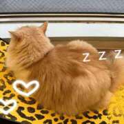 ヒメ日記 2026/03/24 21:56 投稿 紗菜【さな】 丸妻 西船橋店