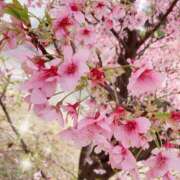 ヒメ日記 2026/03/30 16:21 投稿 紗菜【さな】 丸妻 西船橋店