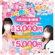 ヒメ日記 2026/04/01 16:40 投稿 紗菜【さな】 丸妻 西船橋店