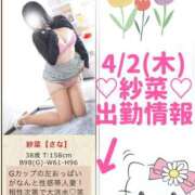 ヒメ日記 2026/04/02 05:33 投稿 紗菜【さな】 丸妻 西船橋店