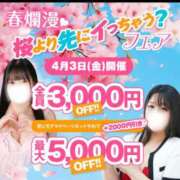 ヒメ日記 2026/04/02 16:25 投稿 紗菜【さな】 丸妻 西船橋店