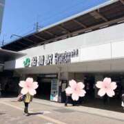 ヒメ日記 2026/04/03 12:58 投稿 紗菜【さな】 丸妻 西船橋店