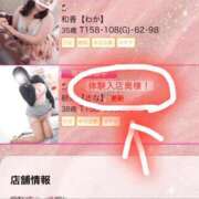 ヒメ日記 2026/04/09 11:42 投稿 紗菜【さな】 丸妻 西船橋店