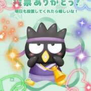 ヒメ日記 2026/04/09 20:35 投稿 紗菜【さな】 丸妻 西船橋店