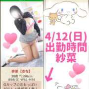 ヒメ日記 2026/04/12 07:08 投稿 紗菜【さな】 丸妻 西船橋店