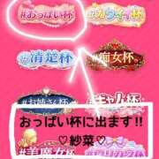 ヒメ日記 2026/04/14 12:24 投稿 紗菜【さな】 丸妻 西船橋店