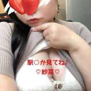 ヒメ日記 2026/04/14 20:44 投稿 紗菜【さな】 丸妻 西船橋店