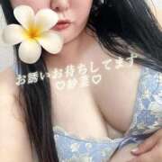 ヒメ日記 2026/04/20 10:55 投稿 紗菜【さな】 丸妻 西船橋店