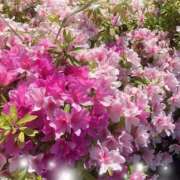 ヒメ日記 2026/04/21 07:14 投稿 紗菜【さな】 丸妻 西船橋店