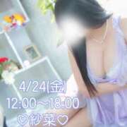 ヒメ日記 2026/04/24 07:09 投稿 紗菜【さな】 丸妻 西船橋店