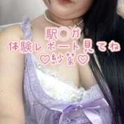 ヒメ日記 2026/04/29 09:03 投稿 紗菜【さな】 丸妻 西船橋店