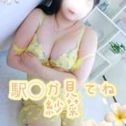 ヒメ日記 2026/08/26 09:34 投稿 紗菜【さな】 丸妻 西船橋店