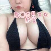 ヒメ日記 2026/09/04 10:33 投稿 紗菜【さな】 丸妻 西船橋店