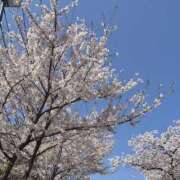 ヒメ日記 2026/04/03 21:39 投稿 みなみ 秋葉原ハンドメイド