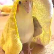 みつ 初めまして🩷🩷 尼妻（あまづま）