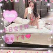 ヒメ日記 2026/02/23 03:48 投稿 べる 京都BOOK MARK（ブックマーク）