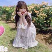 ヒメ日記 2026/02/27 15:28 投稿 べる 京都BOOK MARK（ブックマーク）