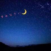 ヒメ日記 2026/02/18 23:49 投稿 安藤みほ 一夜妻