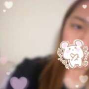 ヒメ日記 2026/03/03 09:09 投稿 安藤みほ 一夜妻