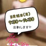 ヒメ日記 2026/03/14 20:49 投稿 安藤みほ 一夜妻