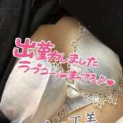 ヒメ日記 2026/03/18 09:39 投稿 安藤みほ 一夜妻
