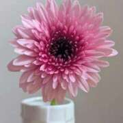 ヒメ日記 2026/02/21 17:38 投稿 三井るみ子(るみこ) 東京不倫～とうきょうふりん～