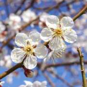 三井るみ子(るみこ) 明日出勤💕‪ 東京不倫～とうきょうふりん～