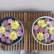 ヒメ日記 2026/03/17 19:58 投稿 三井るみ子(るみこ) 東京不倫～とうきょうふりん～