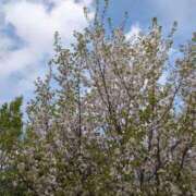 三井るみ子(るみこ) おはようございます♡ 東京不倫～とうきょうふりん～