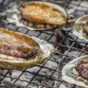 ヒメ日記 2026/04/15 20:58 投稿 三井るみ子(るみこ) 東京不倫～とうきょうふりん～