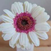 ヒメ日記 2026/04/20 08:39 投稿 三井るみ子(るみこ) 東京不倫～とうきょうふりん～