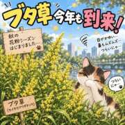 ヒメ日記 2026/09/18 18:48 投稿 三井るみ子(るみこ) 東京不倫～とうきょうふりん～
