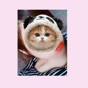 ヒメ日記 2026/02/26 22:56 投稿 まりん☆AF可能なドMクジラ嬢 PREMIUM～プレミアム～