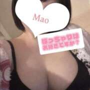 ヒメ日記 2026/03/11 11:17 投稿 まお ぽっちゃり巨乳専門店 町田相模原ちゃんこ