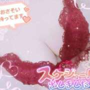 ヒメ日記 2026/04/08 18:16 投稿 灰谷　れん 夜這い専門 発情する奥様たち梅田店