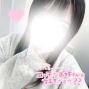 ヒメ日記 2026/04/11 08:06 投稿 まこ Lolipop（ロリポップ）