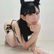 ヒメ日記 2026/02/18 06:39 投稿 ありす 新宿プチドール